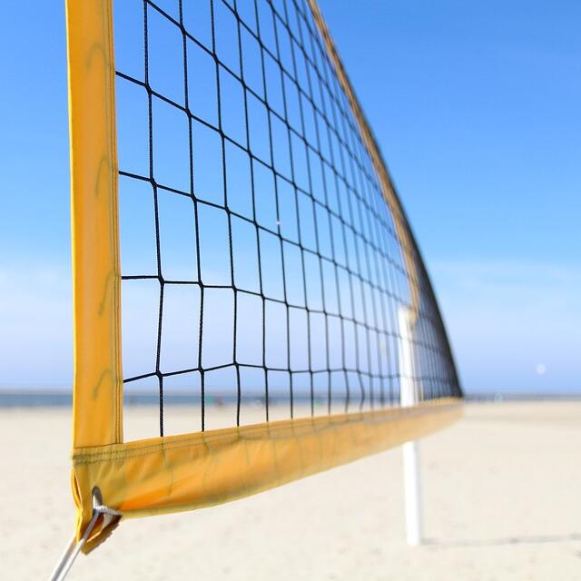 Redes Deportivas Multiusos con - Badminton Player reseña y precio