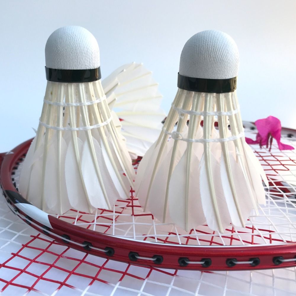 3/6/12 Uds volante de bádminto - Badminton Nylon Shuttlecock reseña y precio